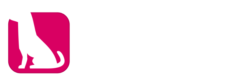 BAD DOG STUDIO